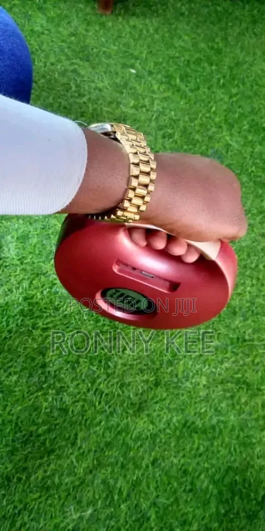JBL M1 Portable Thumping Bass Speaker With a Handle
