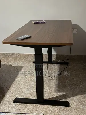 Single Motor Electric Standing Desk