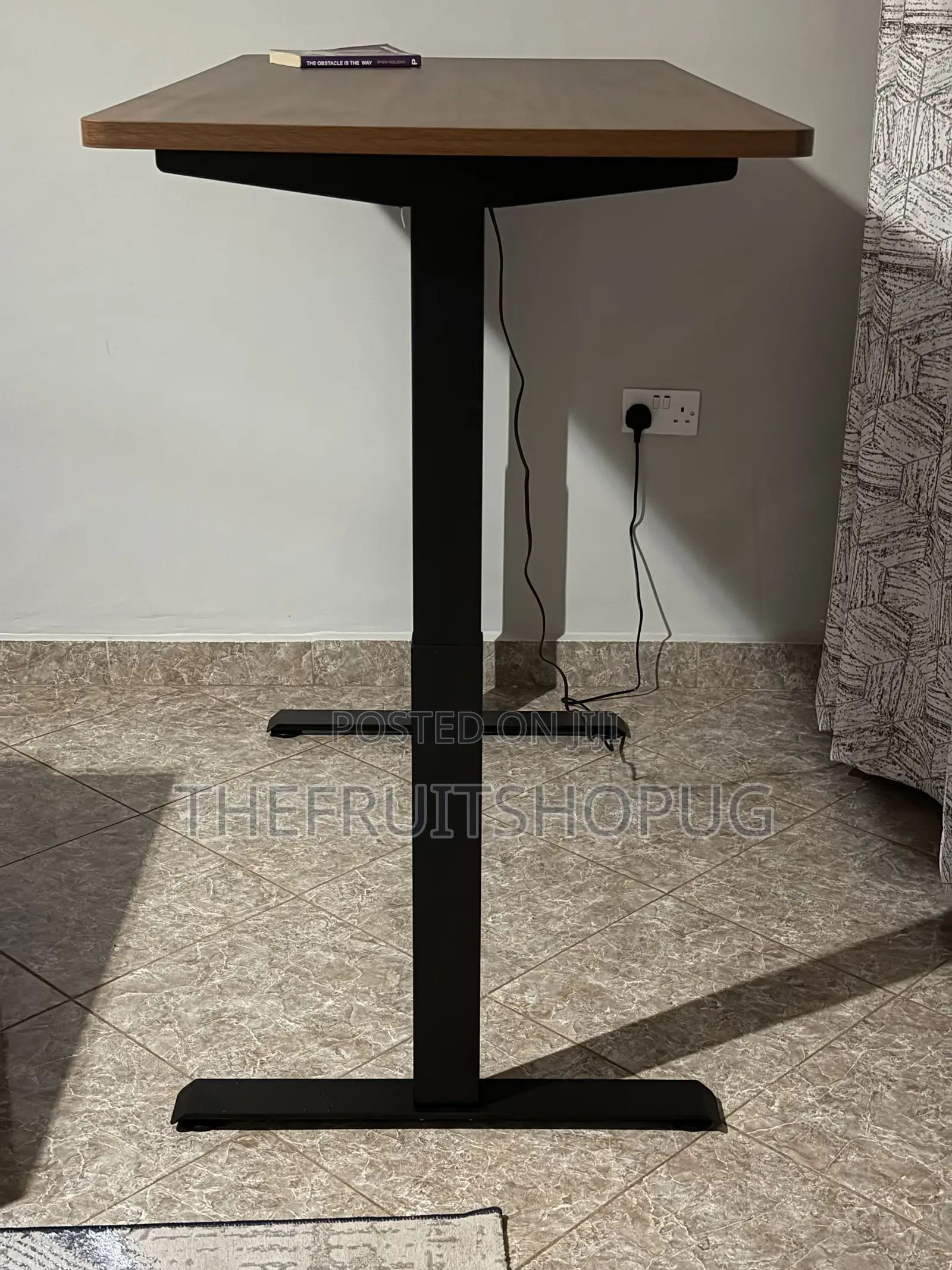 Single Motor Electric Standing Desk