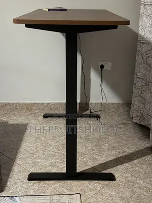 Single Motor Electric Standing Desk