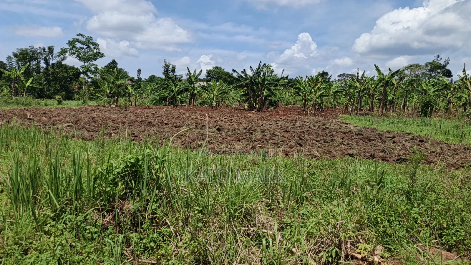 120 Acres for Sale Located at Kayunga Kitwe