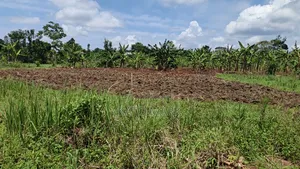 120 Acres for Sale Located at Kayunga Kitwe