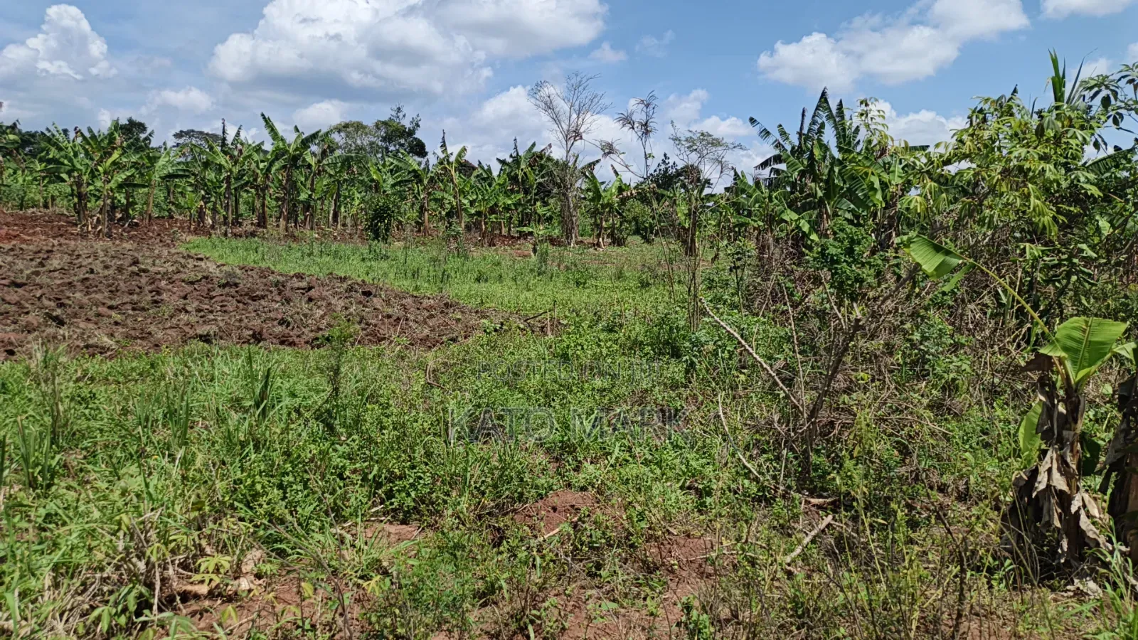 120 Acres for Sale Located at Kayunga Kitwe