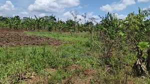 120 Acres for Sale Located at Kayunga Kitwe