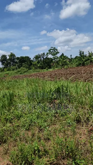 120 Acres for Sale Located at Kayunga Kitwe