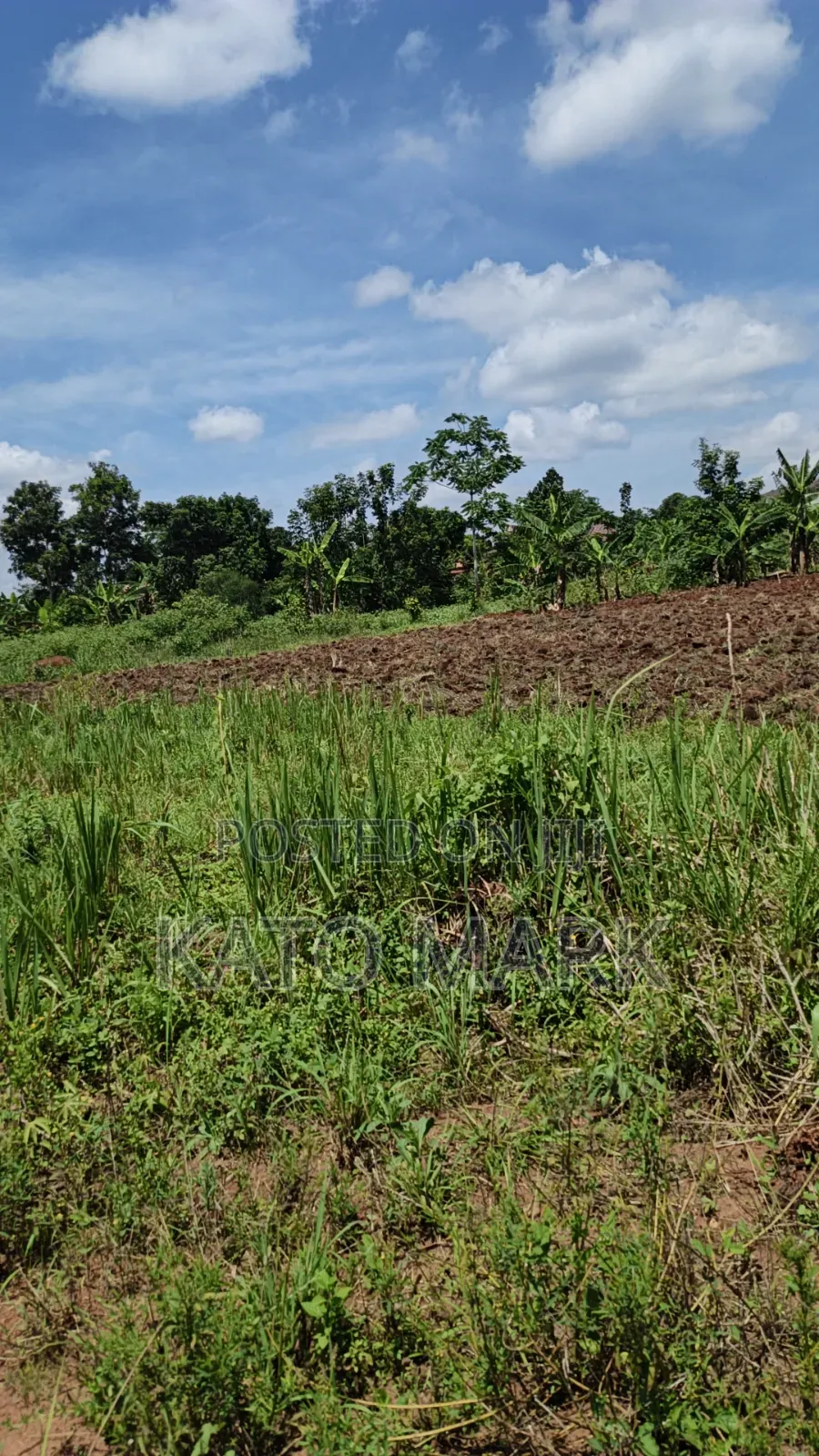 120 Acres for Sale Located at Kayunga Kitwe