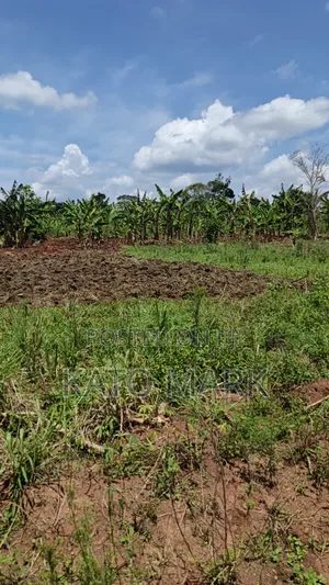 120 Acres for Sale Located at Kayunga Kitwe