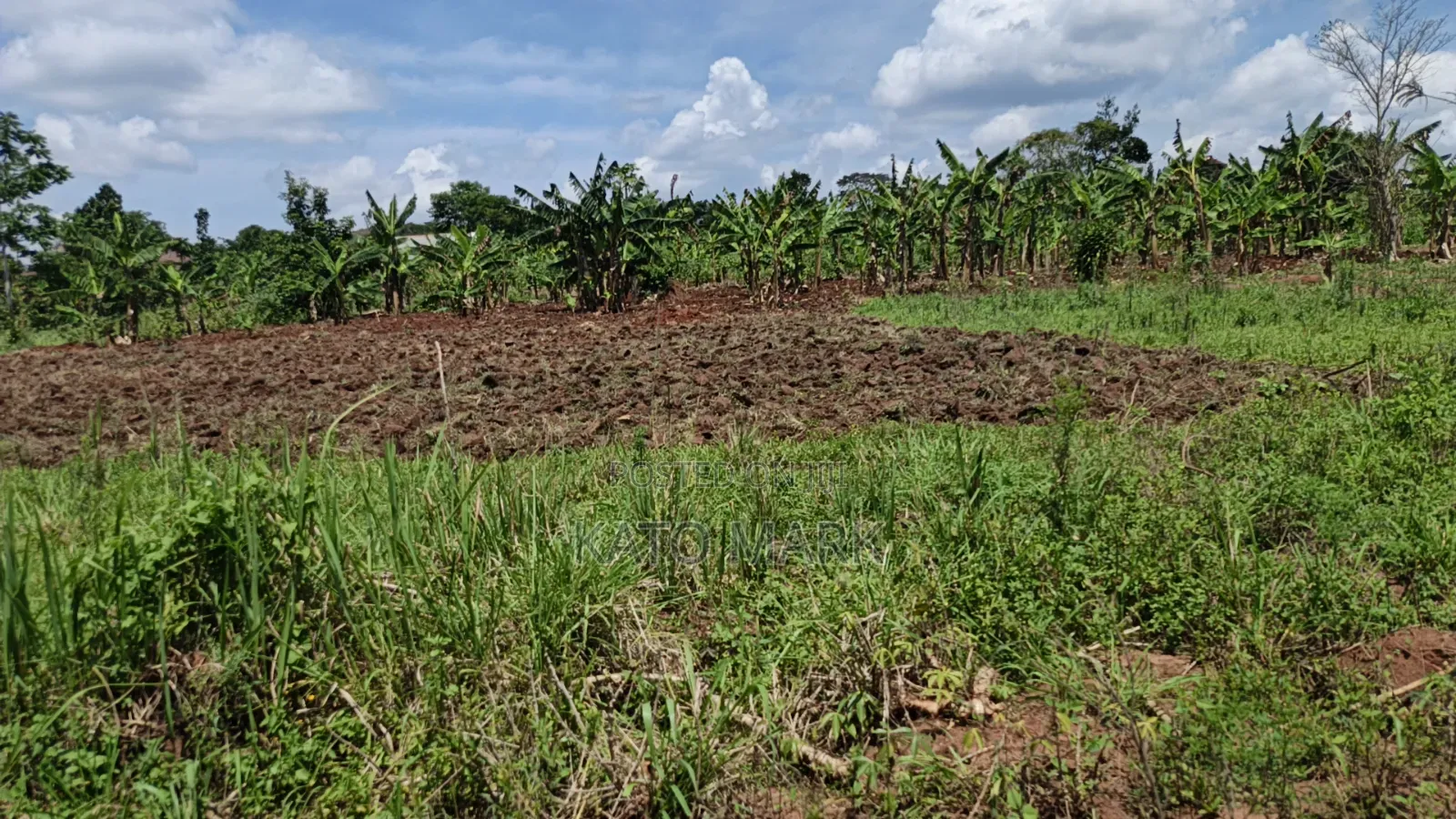 120 Acres for Sale Located at Kayunga Kitwe