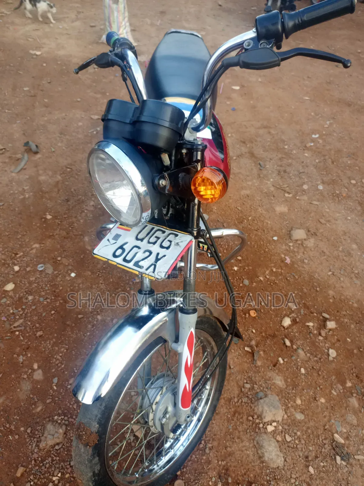 Bajaj Boxer 100 2025 Red