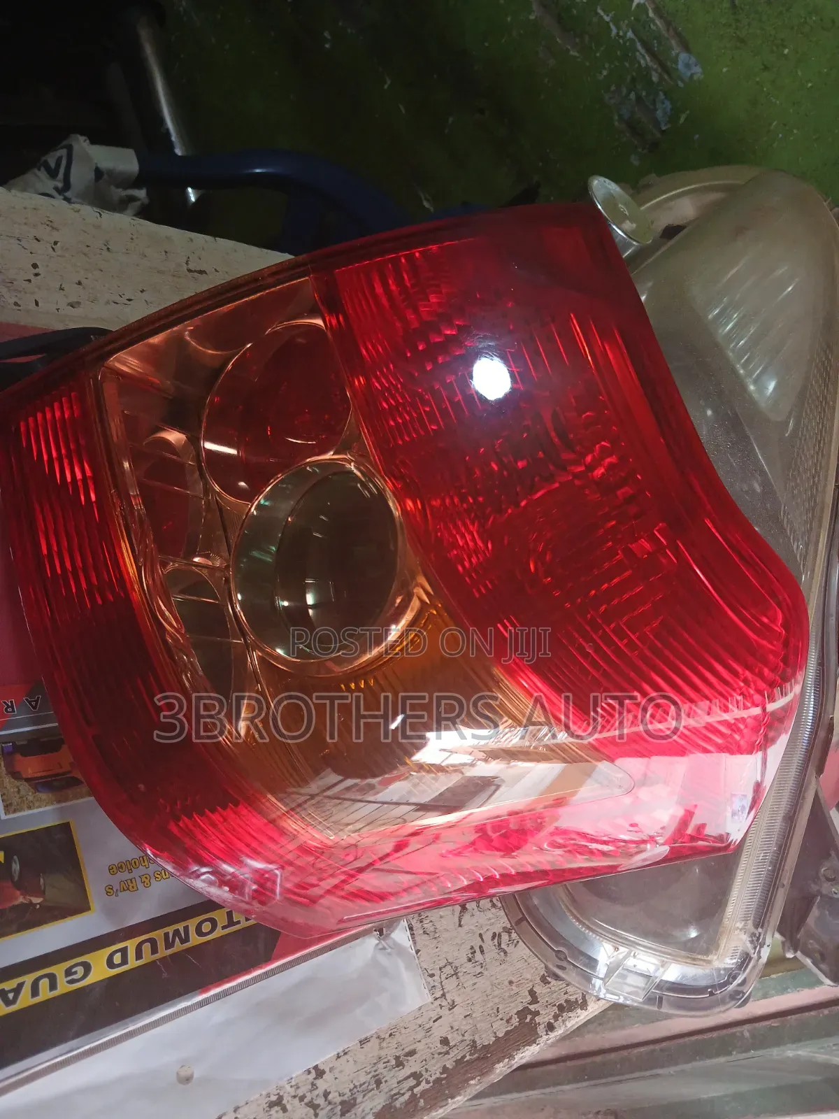 Toyota Allex Taillight