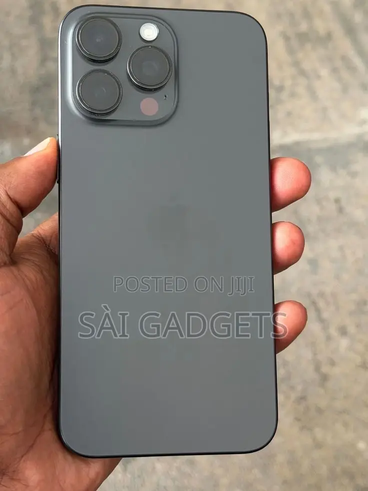 Apple iPhone 15 Pro Max 256 GB Gray