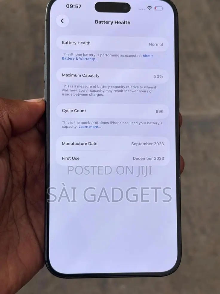 Apple iPhone 15 Pro Max 256 GB Gray