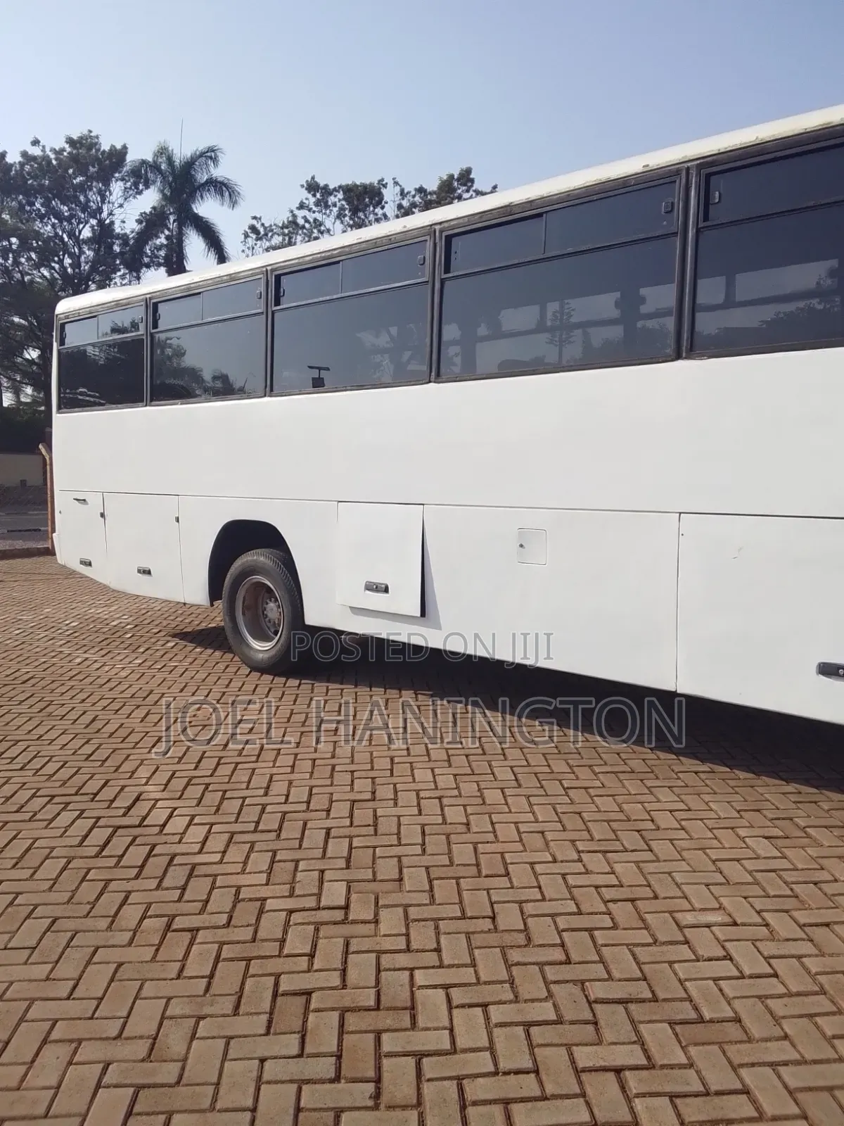 Bus 2025 White