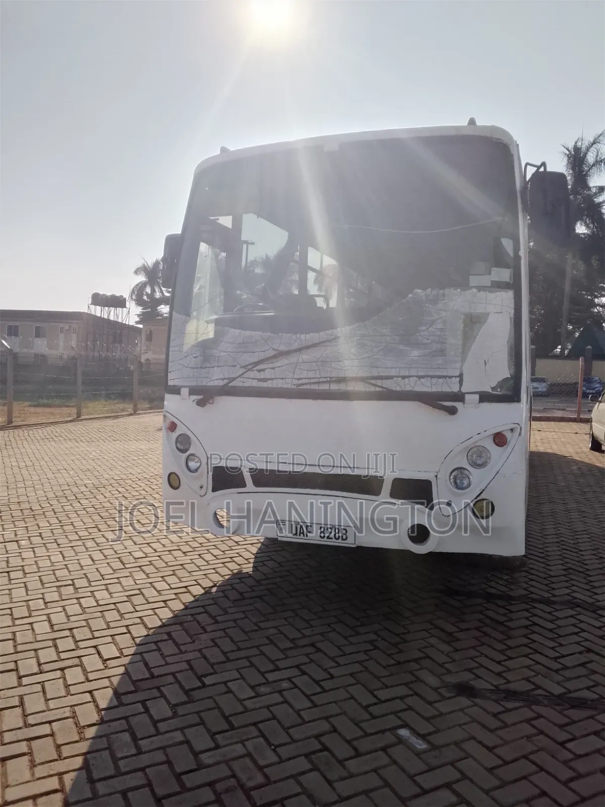 Bus 2025 White