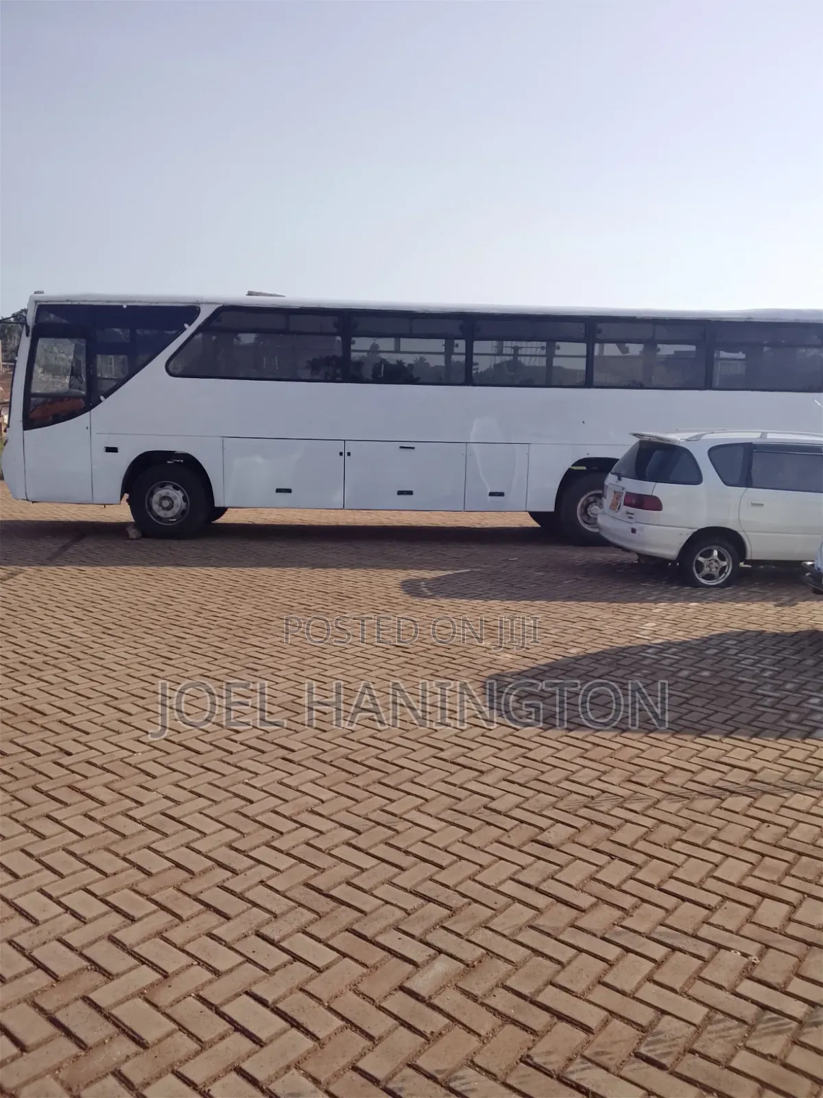 Bus 2025 White