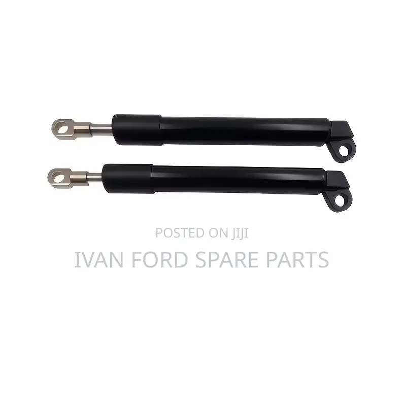 Tailgate Soft-Close Damping Struts
