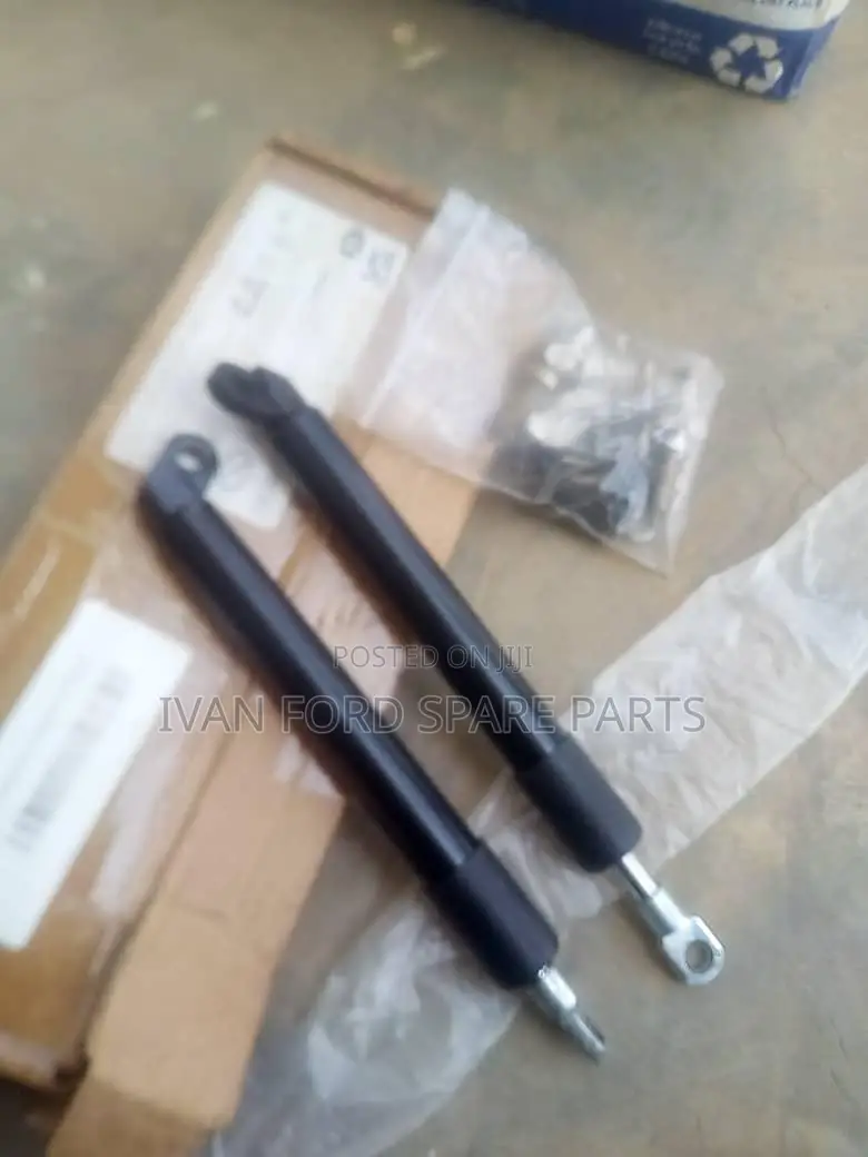 Tailgate Soft-Close Damping Struts