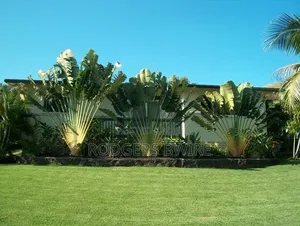 LandScaping and Compound Management