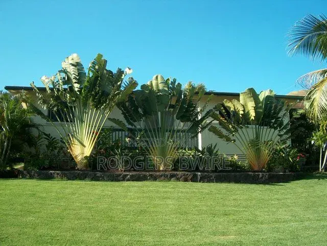 LandScaping and Compound Management