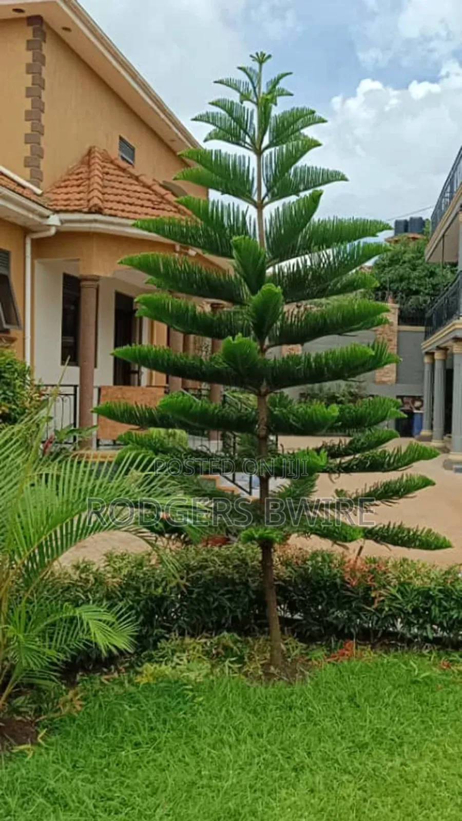LandScaping and Compound Management