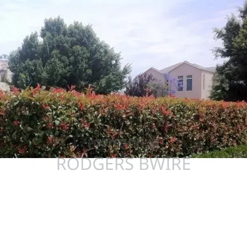 LandScaping and Compound Management