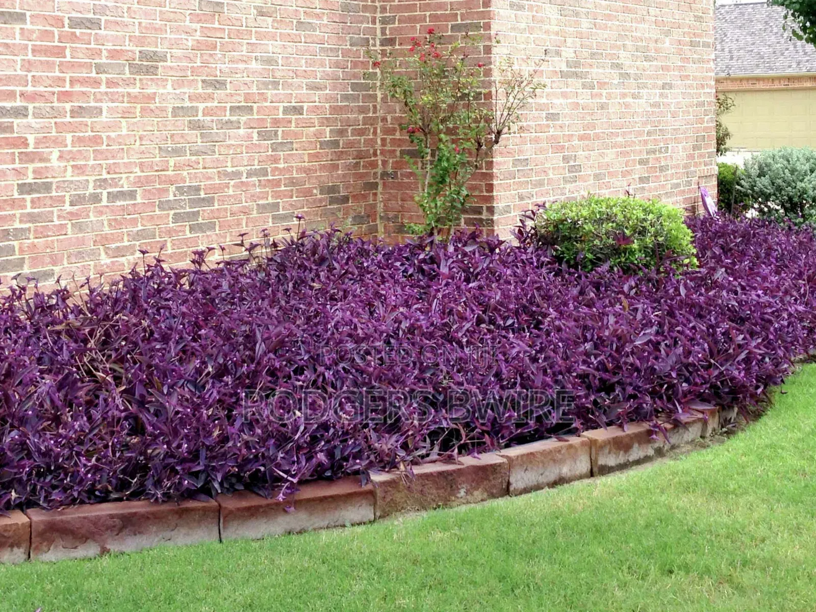 LandScaping and Compound Management