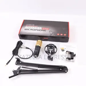 BM800 Professional Microphone Kits Condenser Mic With Microphone Stand