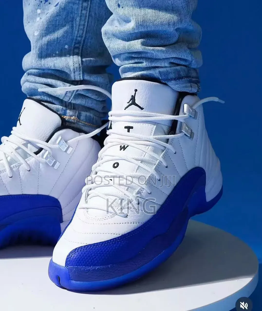 Air Jordan 12 Retro "Blueberry White Game Royal