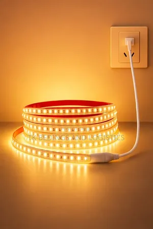 RBG Strip Light 10m