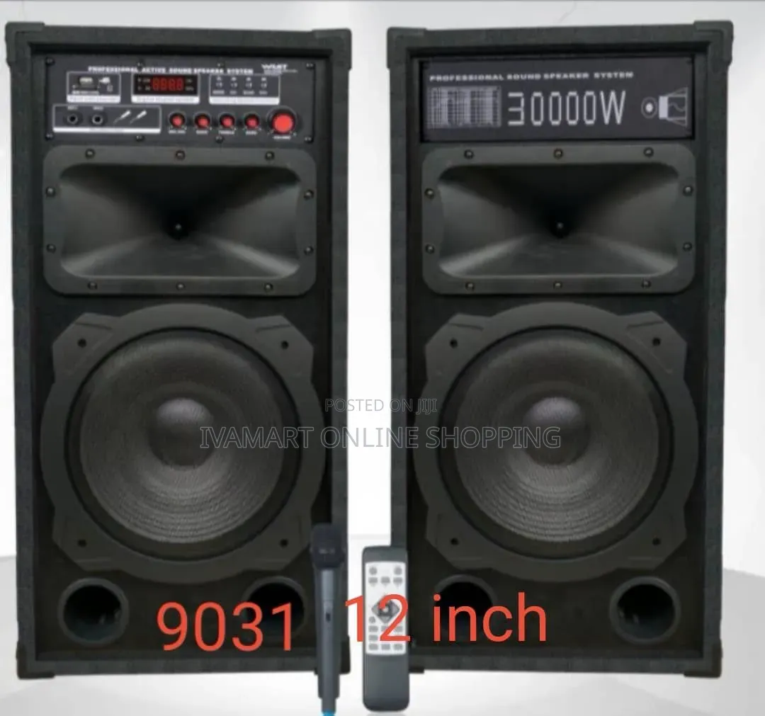 AILIPU 30,000w Professional Sound Speaker System - Double Speaker