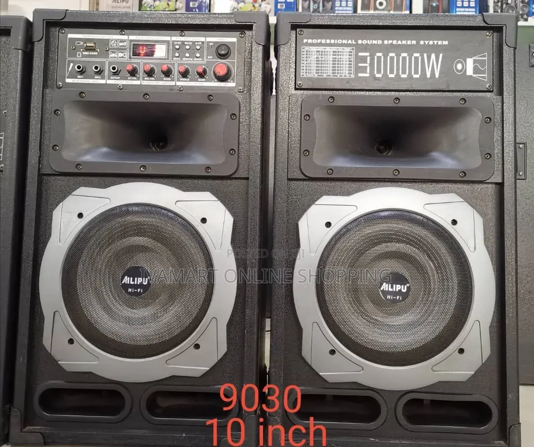 AILIPU 30,000w Professional Sound Speaker System - Double Speaker