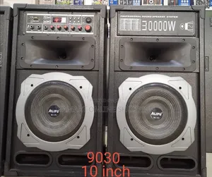 AILIPU 30,000w Professional Sound Speaker System - Double Speaker