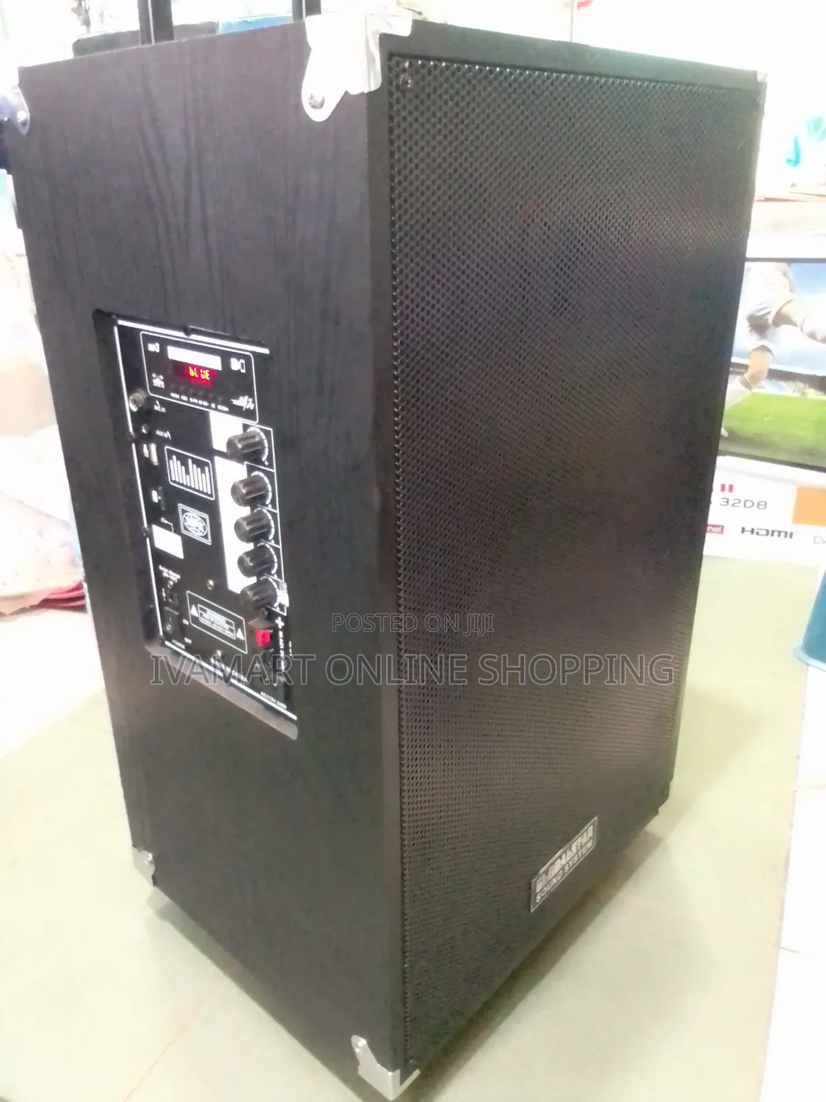 Globalstar Amplified Sound Speaker System