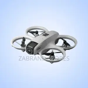 GT3 Brushless Motor Mini Drone