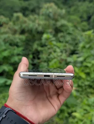 Google Pixel 7 Pro 256 GB Gray