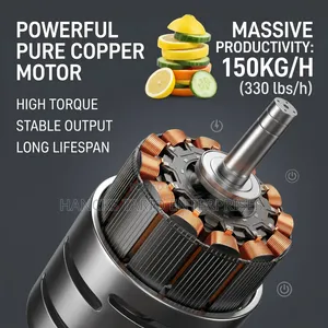 Commercial Electric Stainless Steel Fruit Slicing Machine