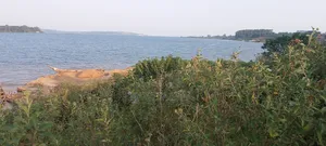 60 Decimals on Sale Touching Lake Shores Entebbe Nkumba