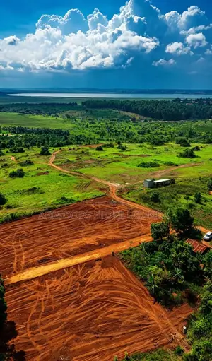 Land for Sale With Land Titles 12 Decimals in Entebbe - Buwaya