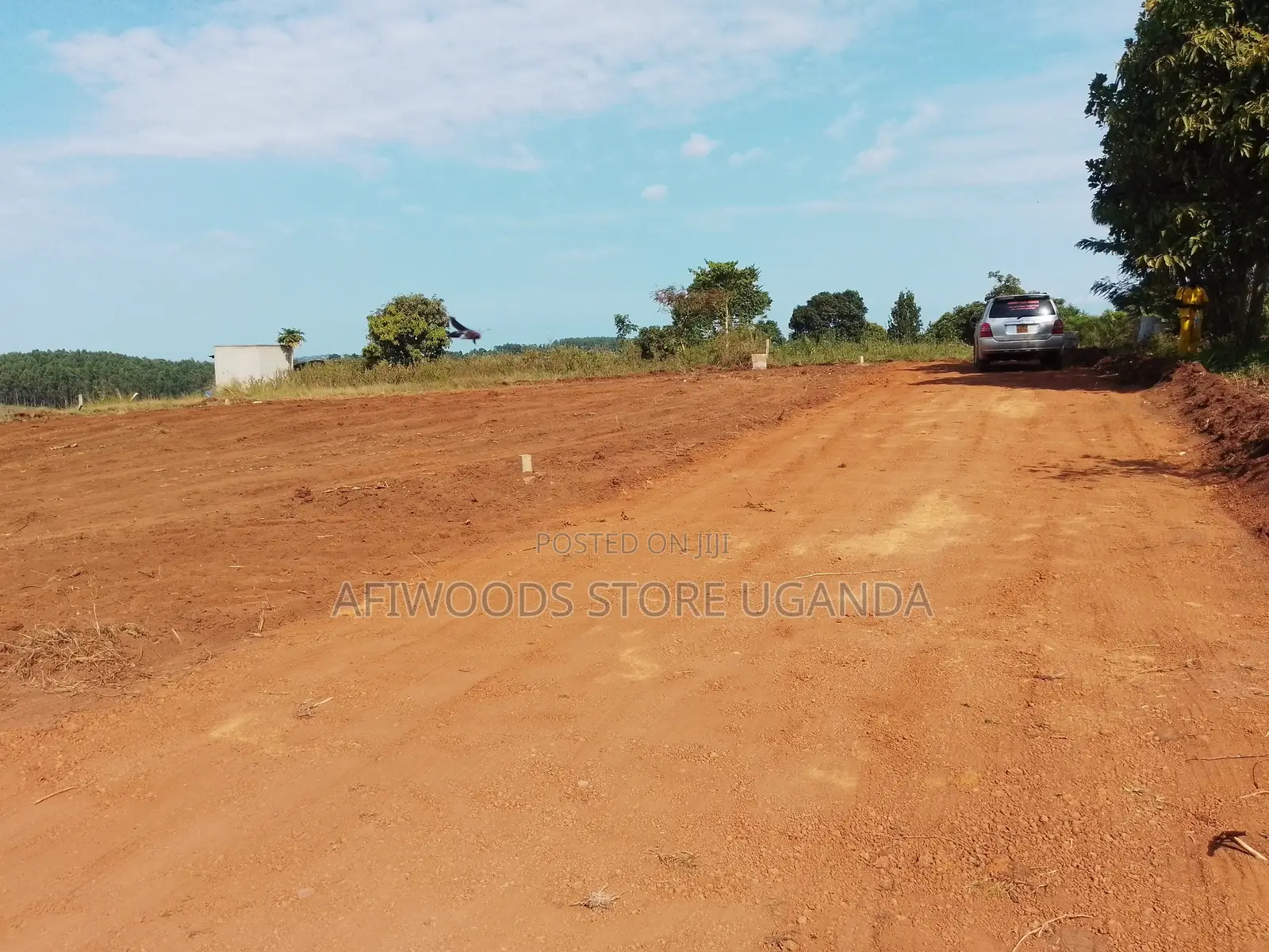 Land for Sale With Land Titles 12 Decimals in Entebbe - Buwaya