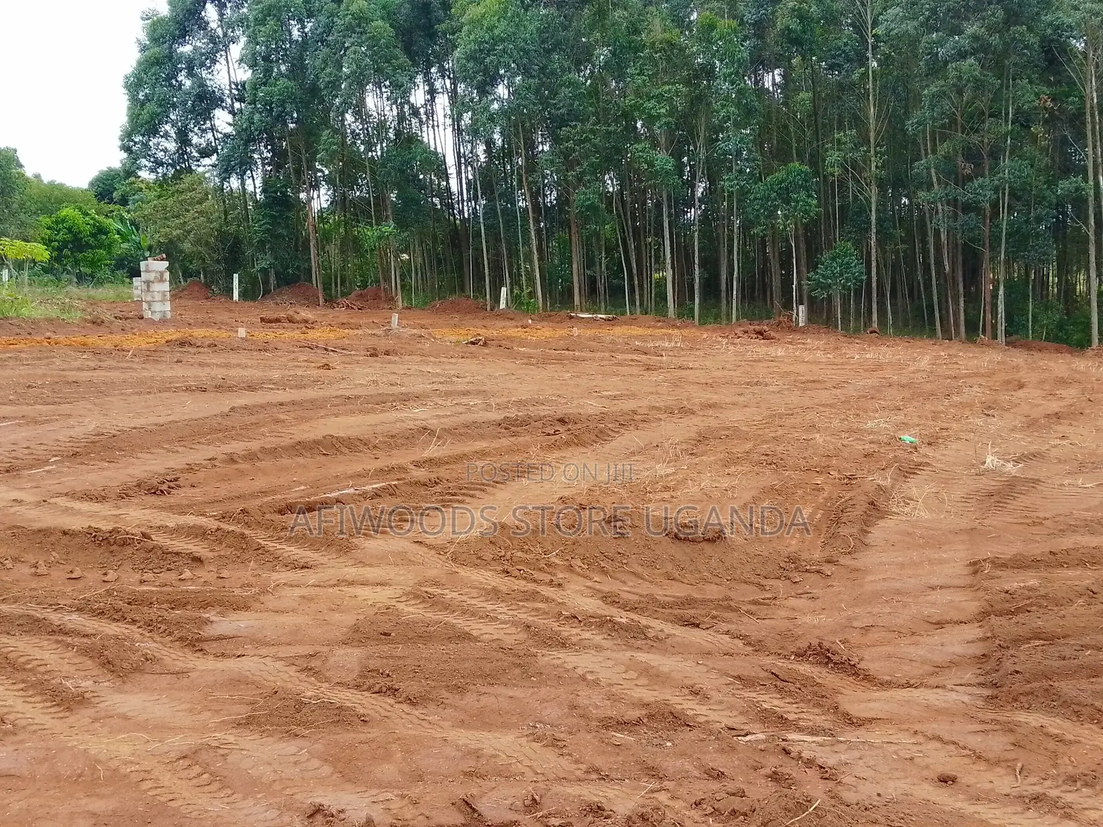 Land for Sale With Land Titles 12 Decimals in Entebbe - Buwaya