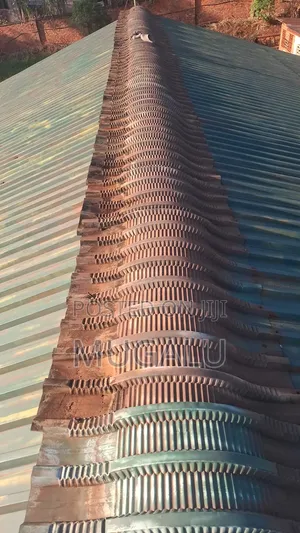 Roof Painting