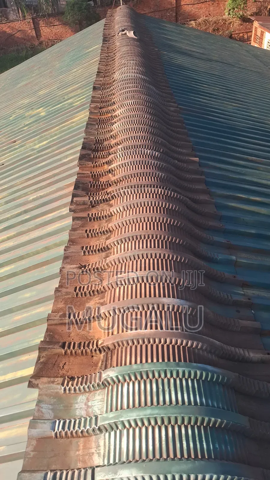 Roof Painting