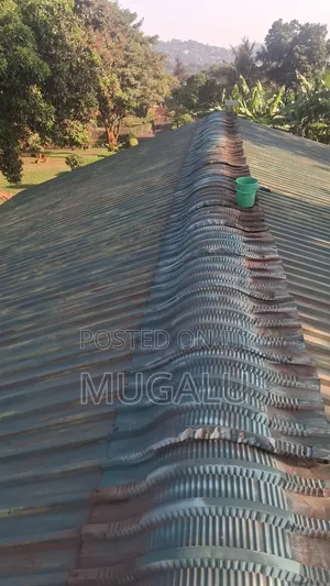 Roof Painting