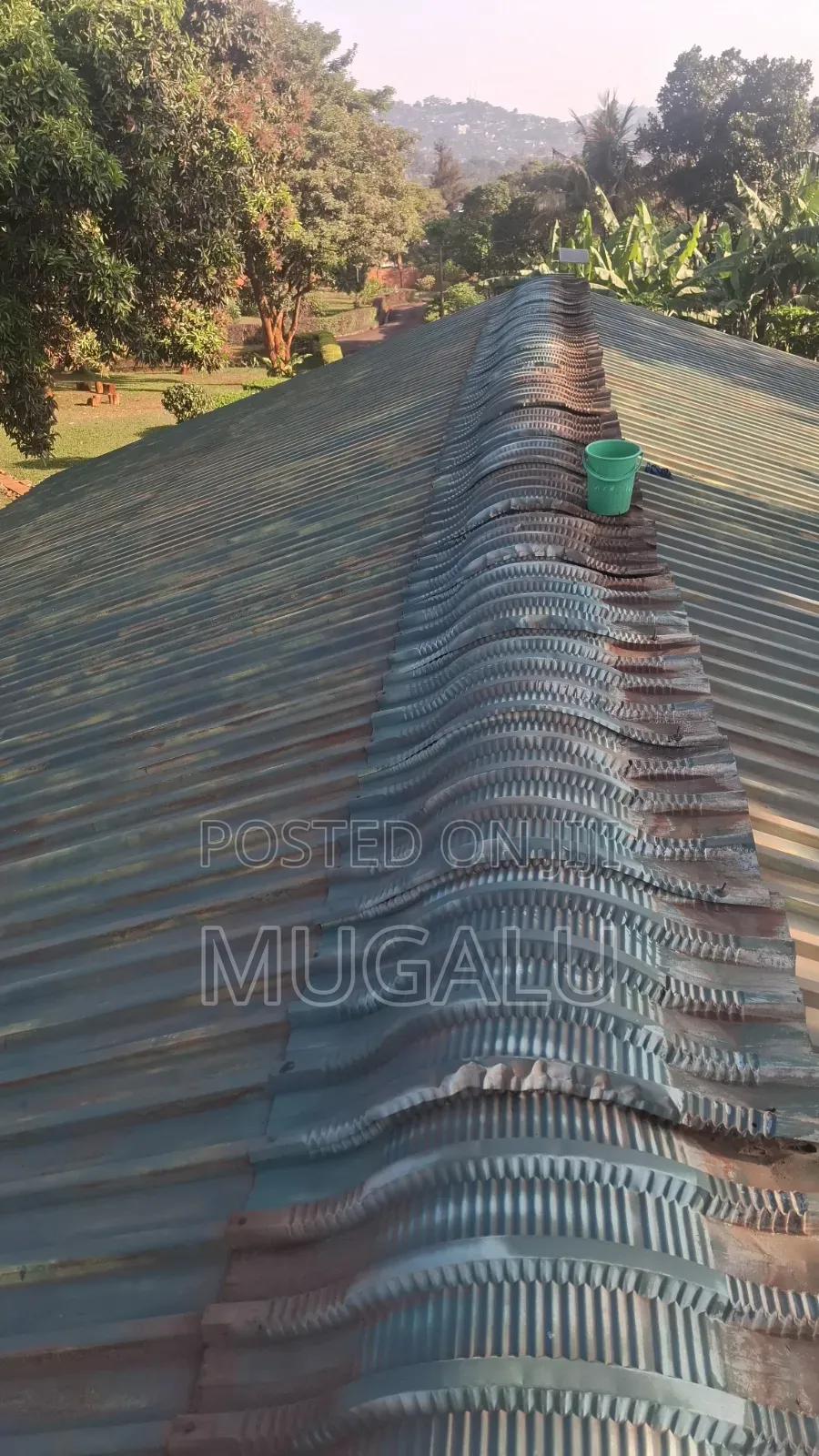 Roof Painting