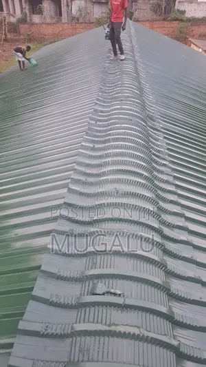 Roof Painting
