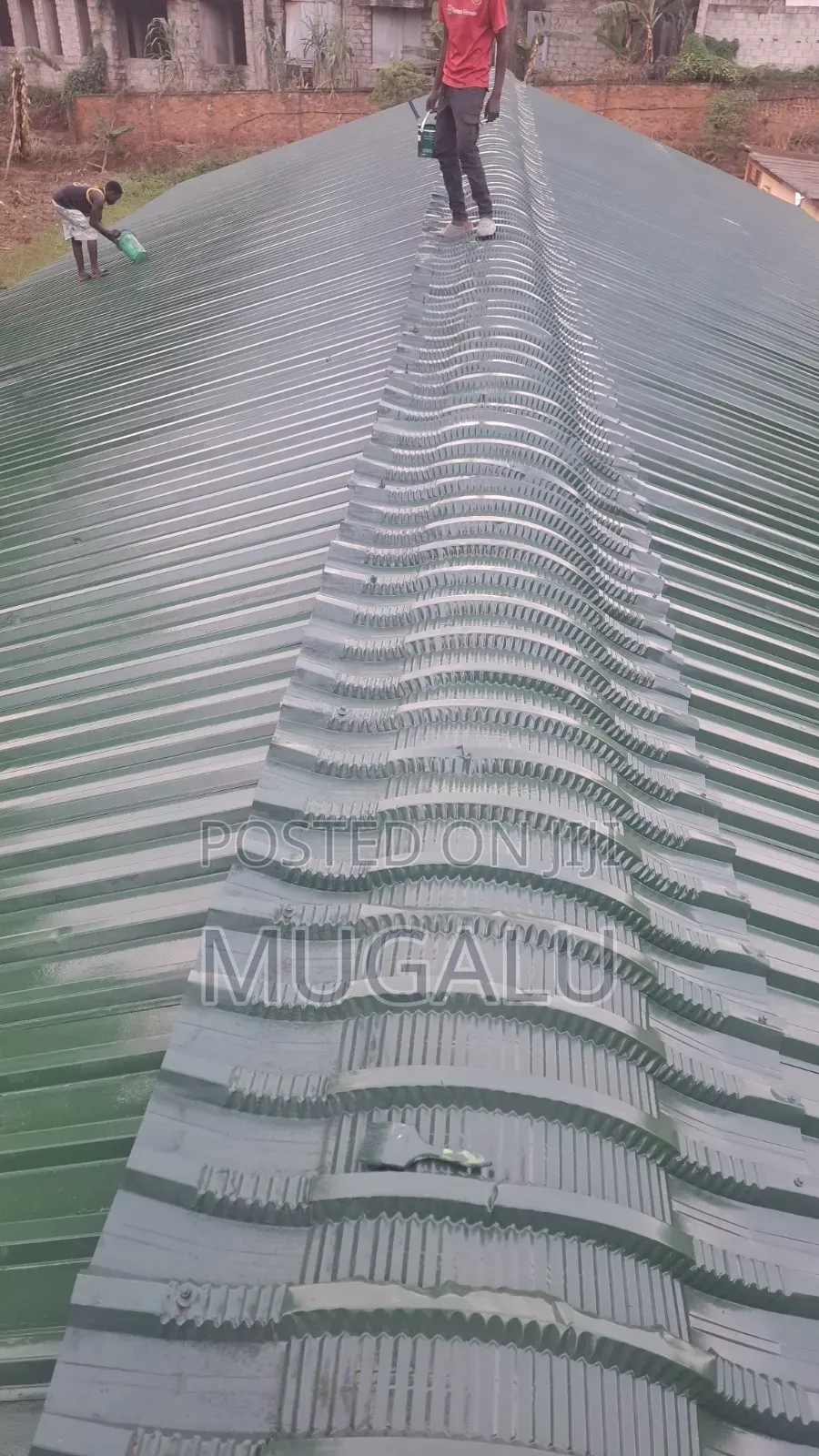 Roof Painting