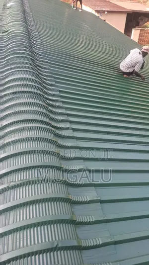 Roof Painting