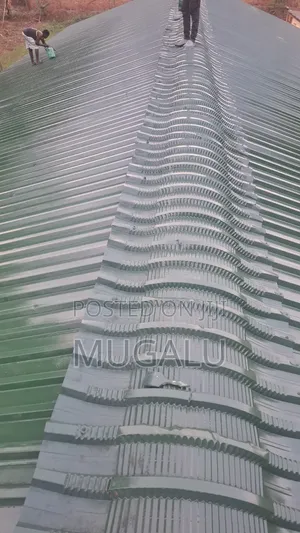 Roof Painting