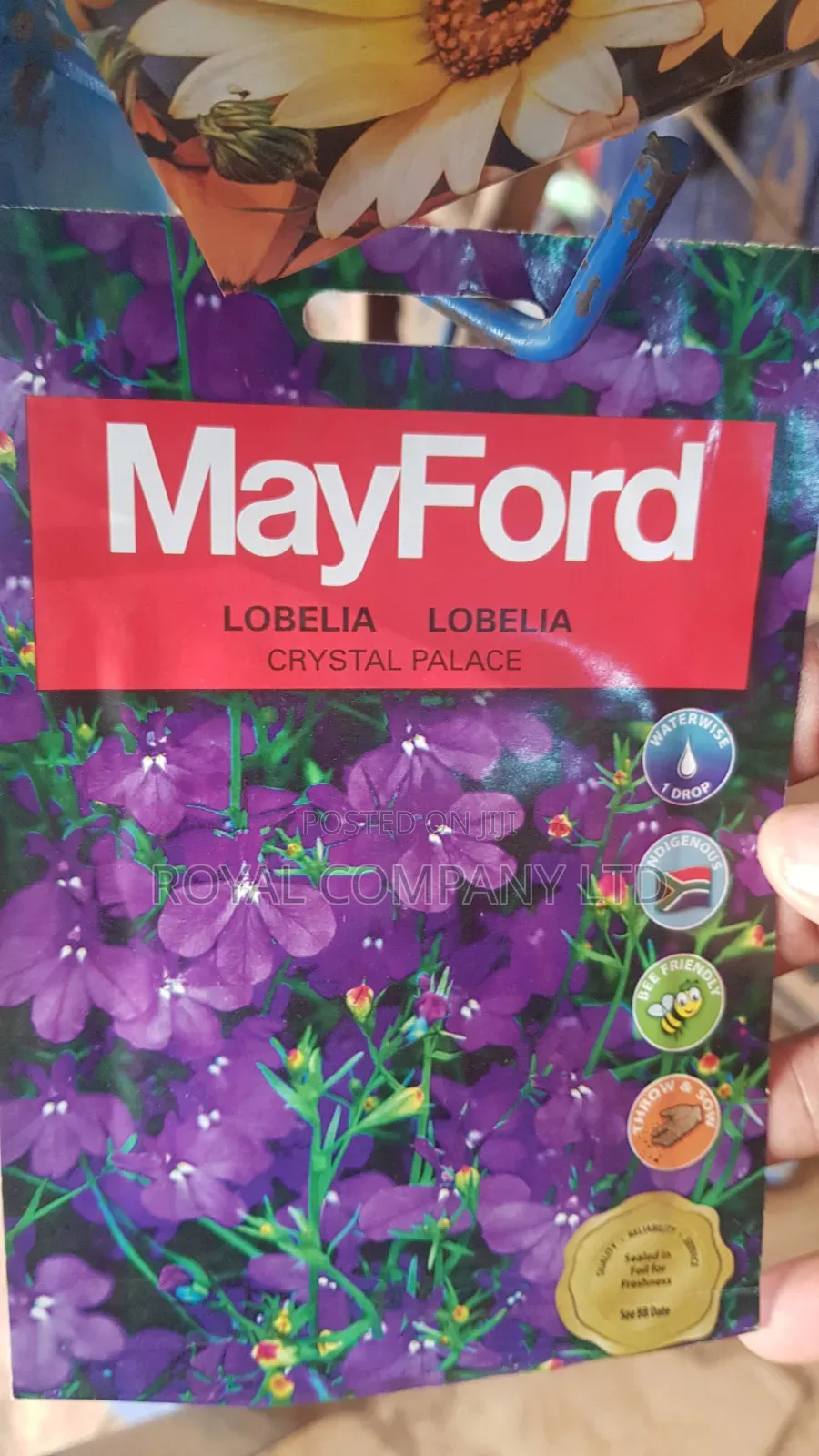 Lobelia Crystal Palace Flower Seeds