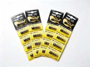 Electric Gate Remote Batteries
